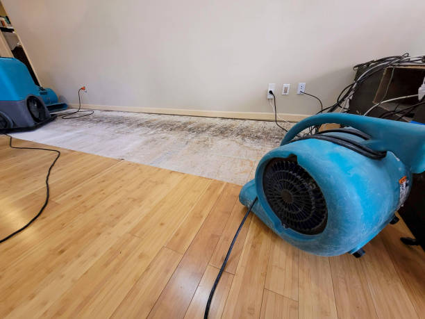 Professional Flood Damage Cleanup technician working in Manns Harbor, NC